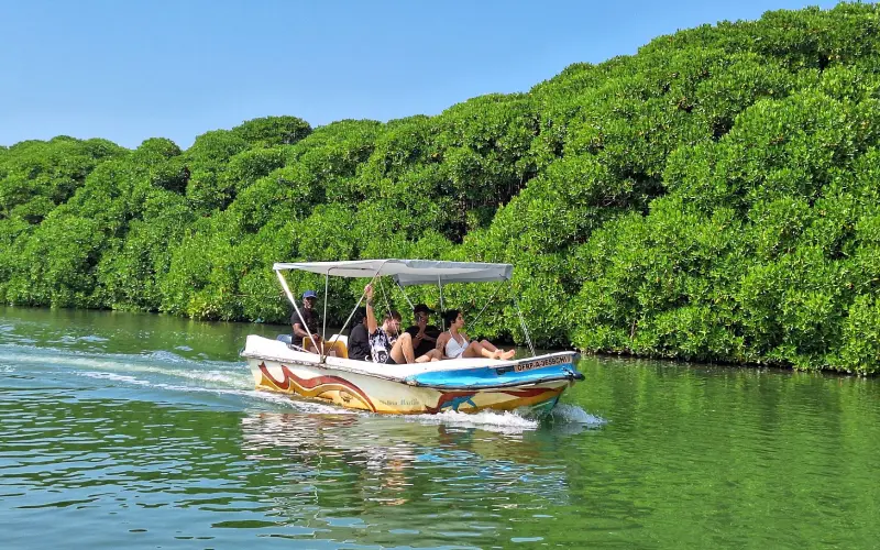 Negombo Lagoon